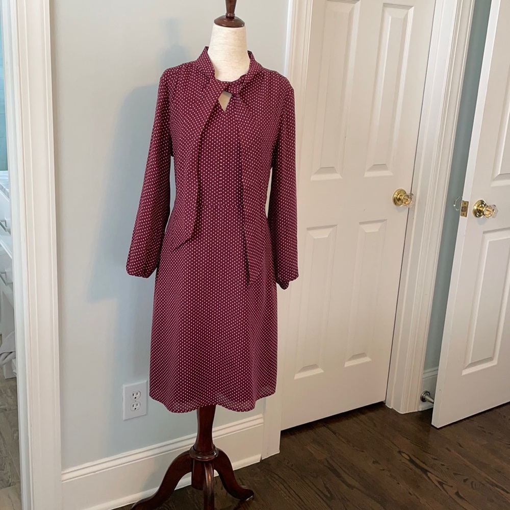 New Land’s End Dress. Burgundy w/polka dots. Sz 10